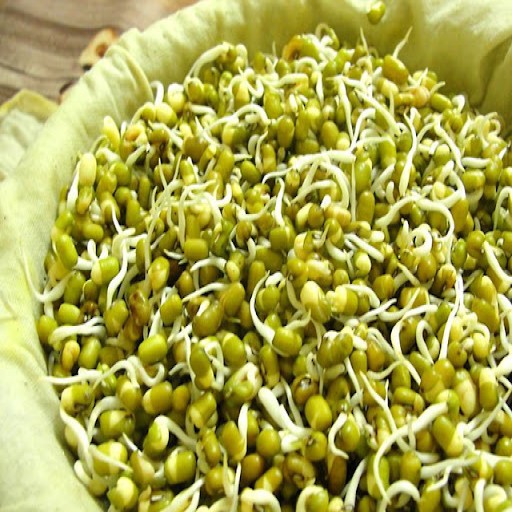  عکس جوانه ماش